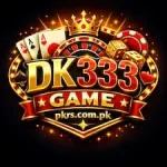 DK333 Game