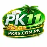 PK11 Game APK Logo